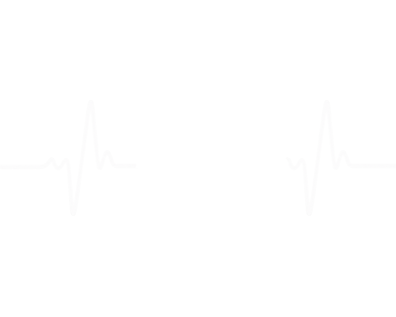 15 anos de histórias que pulsam